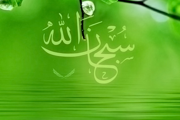 eko-islam-10-zielonych-hadisow